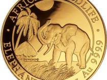 Somalia Elefant Goldmünze 2017