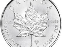 Münzkassette Maple Leaf Silbermünzen