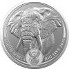 Big Five South Africa Silbermünzen