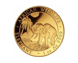Somalia Elefant Goldmünze 2017