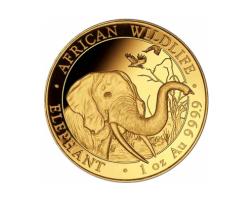 Somalia Elefant Goldmünze 2018