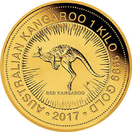 Känguru 1 Kilo 2017