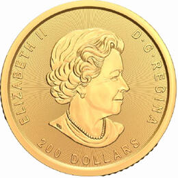Klondike Goldrausch Goldwäsche 2021
