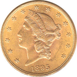 20 Dollar American Liberty Head 1895