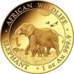 Somalia Elefant Goldmünze 2022