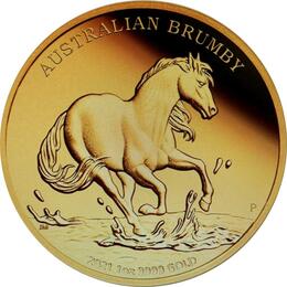 Australien Brumby 1 Unze Gold 2021