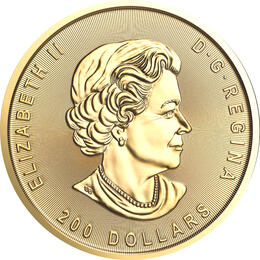 Klondike Goldrausch Goldwäsche 2022