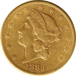 20 Dollar American Liberty Head 1883