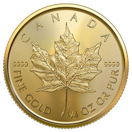 Maple Leaf Gold 1/4 Unze 2024