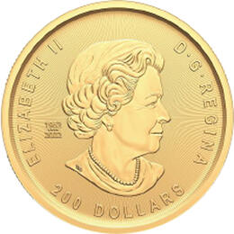 Klondike Goldrausch Goldwäsche 2023