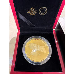 Kanada Cougar Predators of the Wild 5 Unzen Goldmünze 2018 Proof
