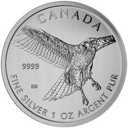 1 Unze Silber Bussard Birds of Prey 2015