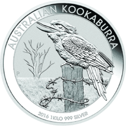 Kookaburra 1 Kilo 2016