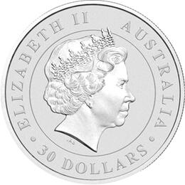 Koala 1 Kilo 2016 