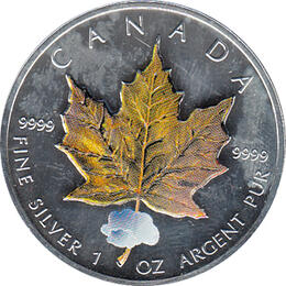 Maple Leaf Farbe 2004