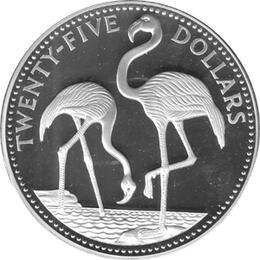 Bahamas Flamingo Vogel 1985