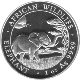 Somalia Elefant 2019