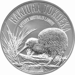 Kiwi Neuseeland 2017