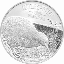 Kiwi Neuseeland 2018