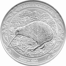 Kiwi Neuseeland 2019