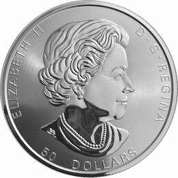 Magnificent Silber Maple Leaf Silber 2020