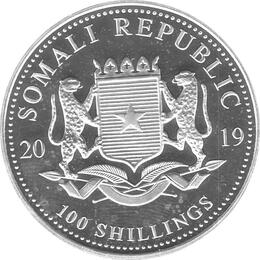 Somalia Elefant 5 Unzen Silber 2019