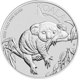 Koala 1 Kilo 2022