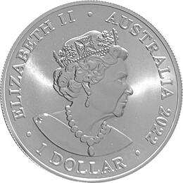 Australian RAM Defin 2022 Dusky Dolphin