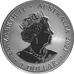 Australian RAM Delfin 2021 Frasers Dolphin