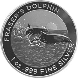 Australian RAM Delfin 2021 Frasers Dolphin