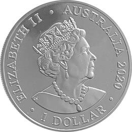 Australian RAM Delfin 2020 Spinner Dolphin