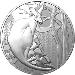 1 Unze Silber Känguru 2022 Australien Roayal Mint 1 Dollar