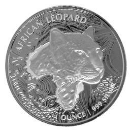 African Leopard 2019