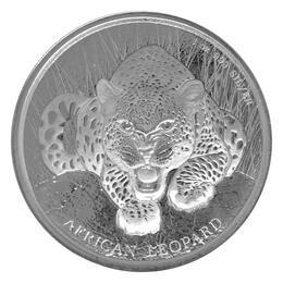 African Lion 2017