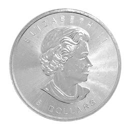 Canada Büffel 2015
