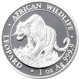 Somalia Leopard 1 Kilo Silber 2023