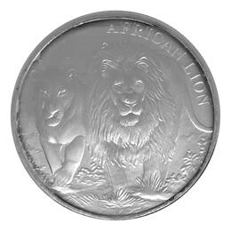African Lion 2016