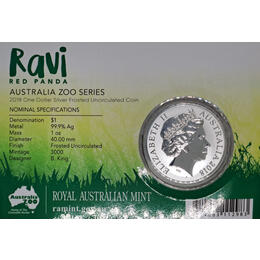Ravi Red Panda 2018