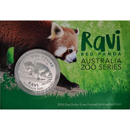 Ravi Red Panda 2018