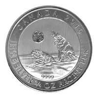Canada Wolf 2016
