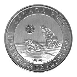 Canada Wolf 2016