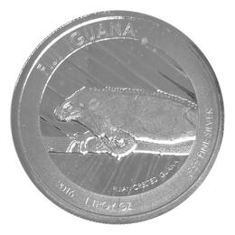 Fiji Iguana 2016