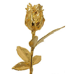 goldene Rose 30cm