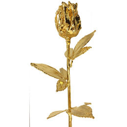 goldene Rose 30cm