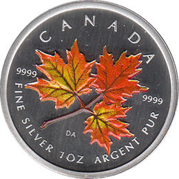 Maple Leaf Farbe 2001