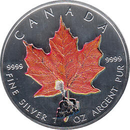 Maple Leaf Farbe 2005