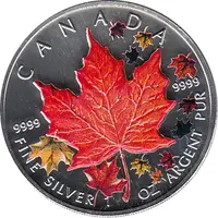 Maple Leaf Farbe 2001