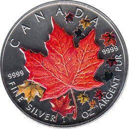 Maple Leaf Farbe 2001