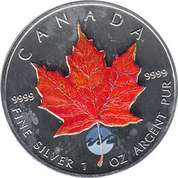 Maple Leaf Farbe 2004