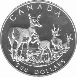 Platin Kanada 2000 Reh proof